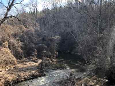 Advance Land and Timber Land for sale property_imgs/924~0.jpg