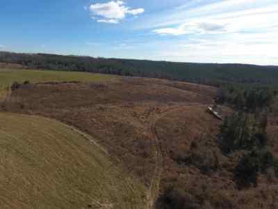 Advance Land and Timber Land for sale property_imgs/92~2.jpg