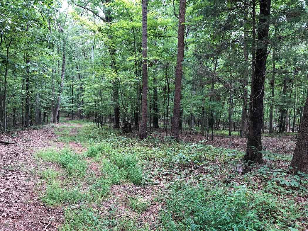 9 +/ Acres of land for sale in Pittsylvania County, Virginia Advance