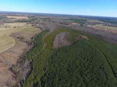 Advance Land and Timber Land for sale property_imgs/93~0.jpg