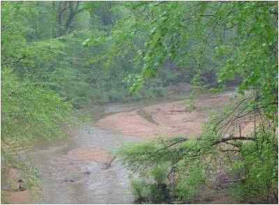 Advance Land and Timber Land for sale property_imgs/94_2.jpg