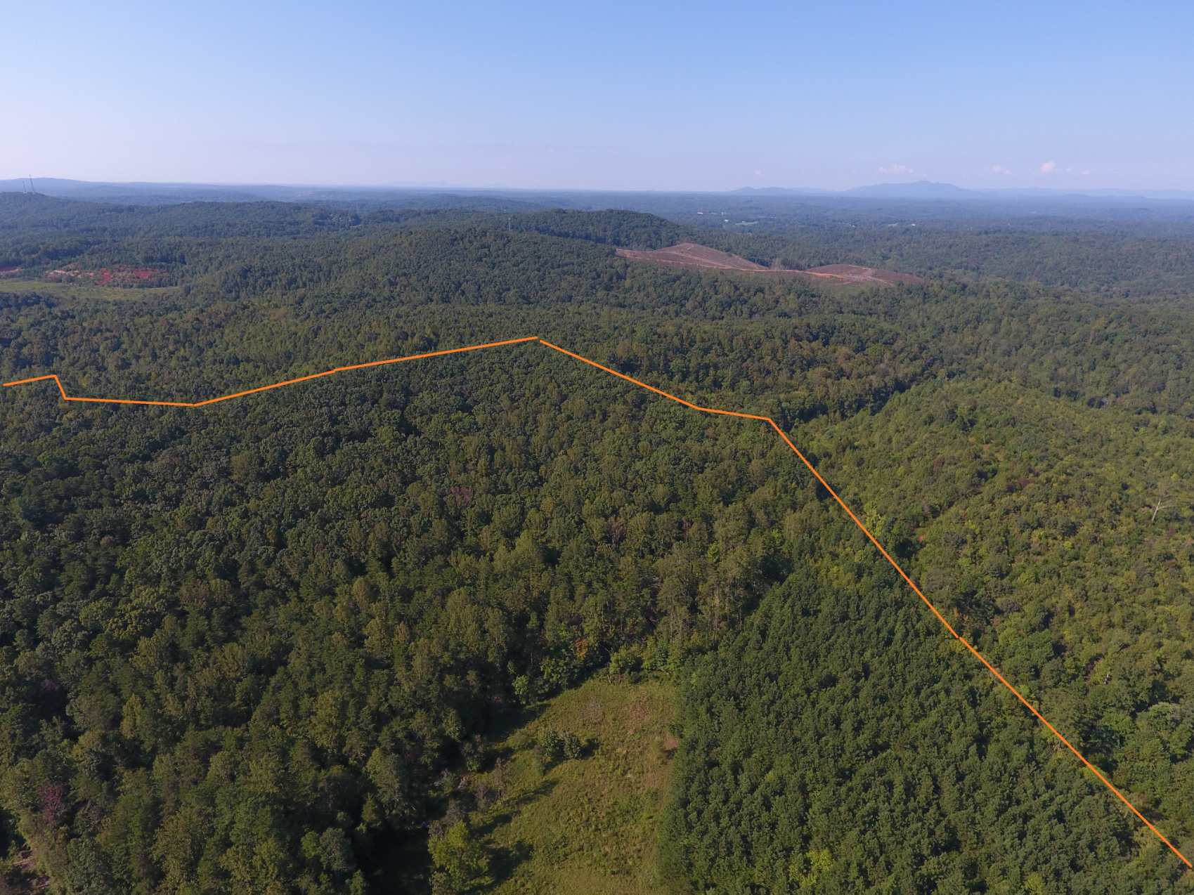 Advance Land and Timber Land for sale property_imgs/95.jpg