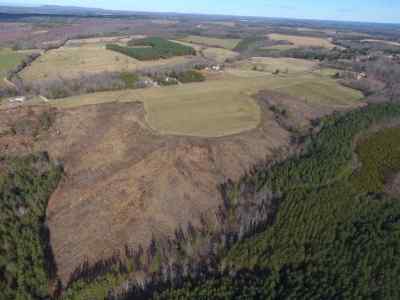 Advance Land and Timber Land for sale property_imgs/95~1.jpg