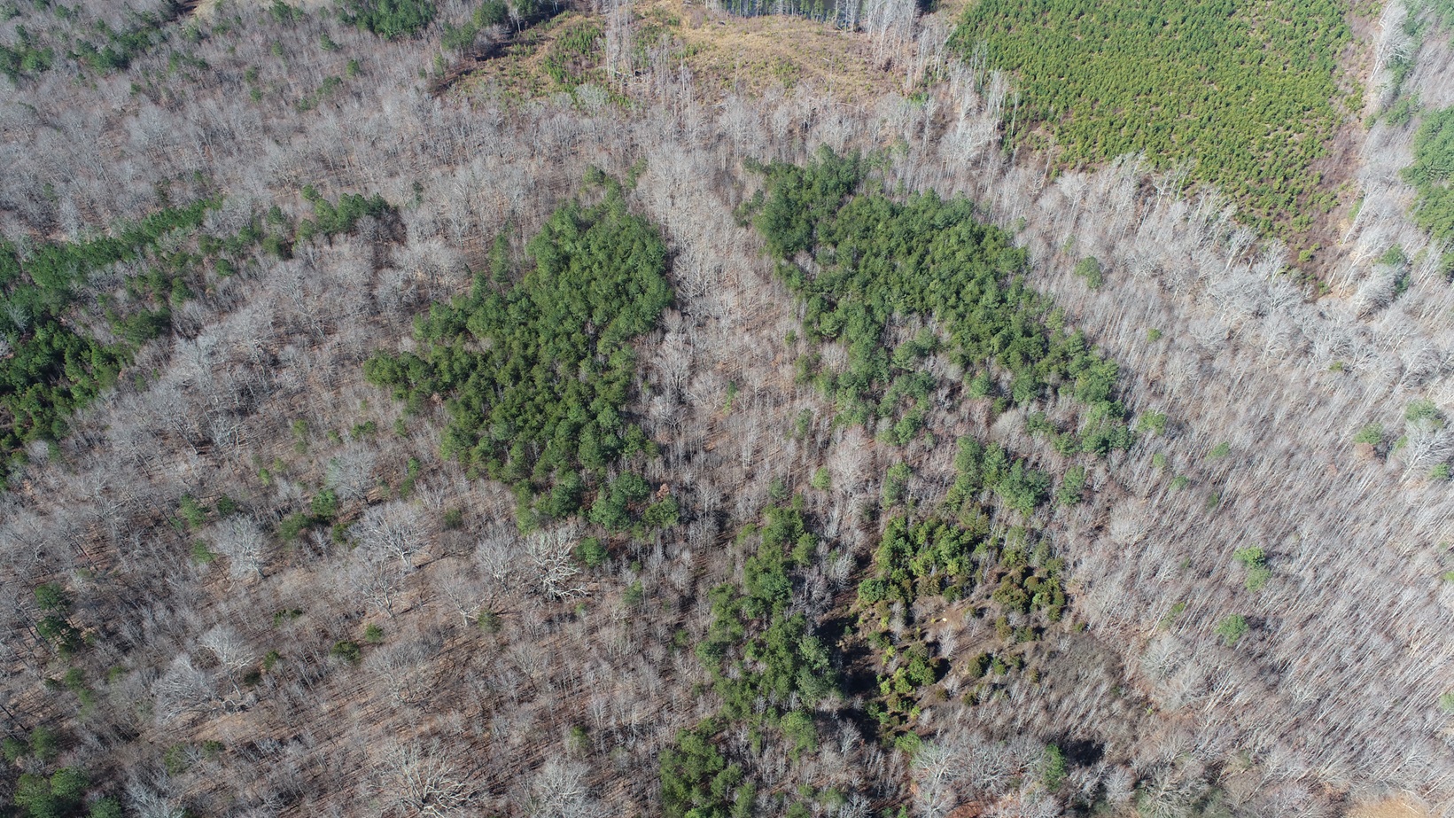 43 +/ Acres of land for sale in Halifax County, Virginia Advance