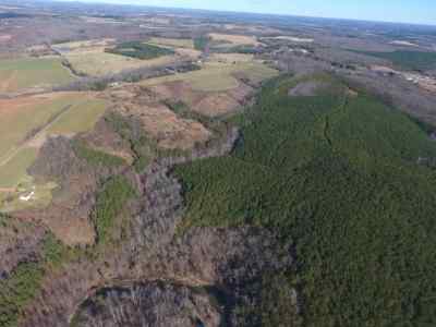 Advance Land and Timber Land for sale property_imgs/98~1.jpg