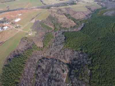 Advance Land and Timber Land for sale property_imgs/99~0.jpg