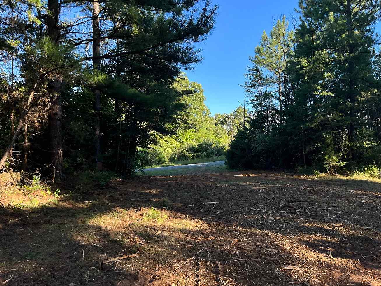 Advance Land and Timber Land for sale property_imgs/9a0ee0a9e7a42d2d69b8f86b3a0756b1_1867.jpg