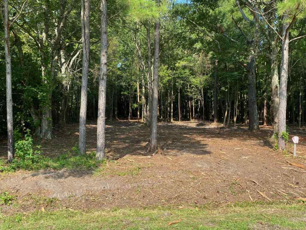 Advance Land and Timber Land for sale property_imgs/9f1f64b519d20e2ccc36e1589a8f7555.jpg