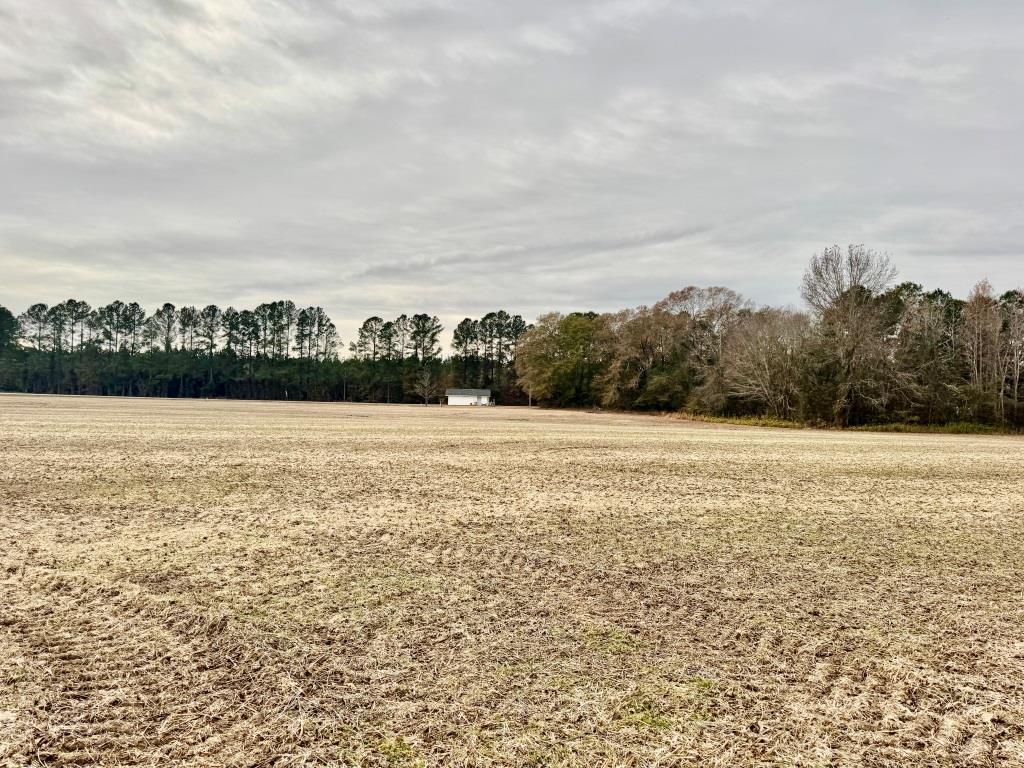 Advance Land and Timber Land for sale property_imgs/9fa04f87c9138de23e92582b4ce549ec_2203.jpg