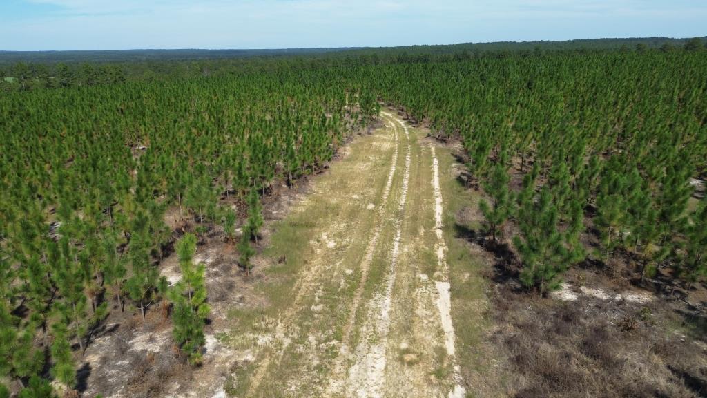 Advance Land and Timber Land for sale property_imgs/9fc64354454711c97058db6110b3a369_2332.jpg