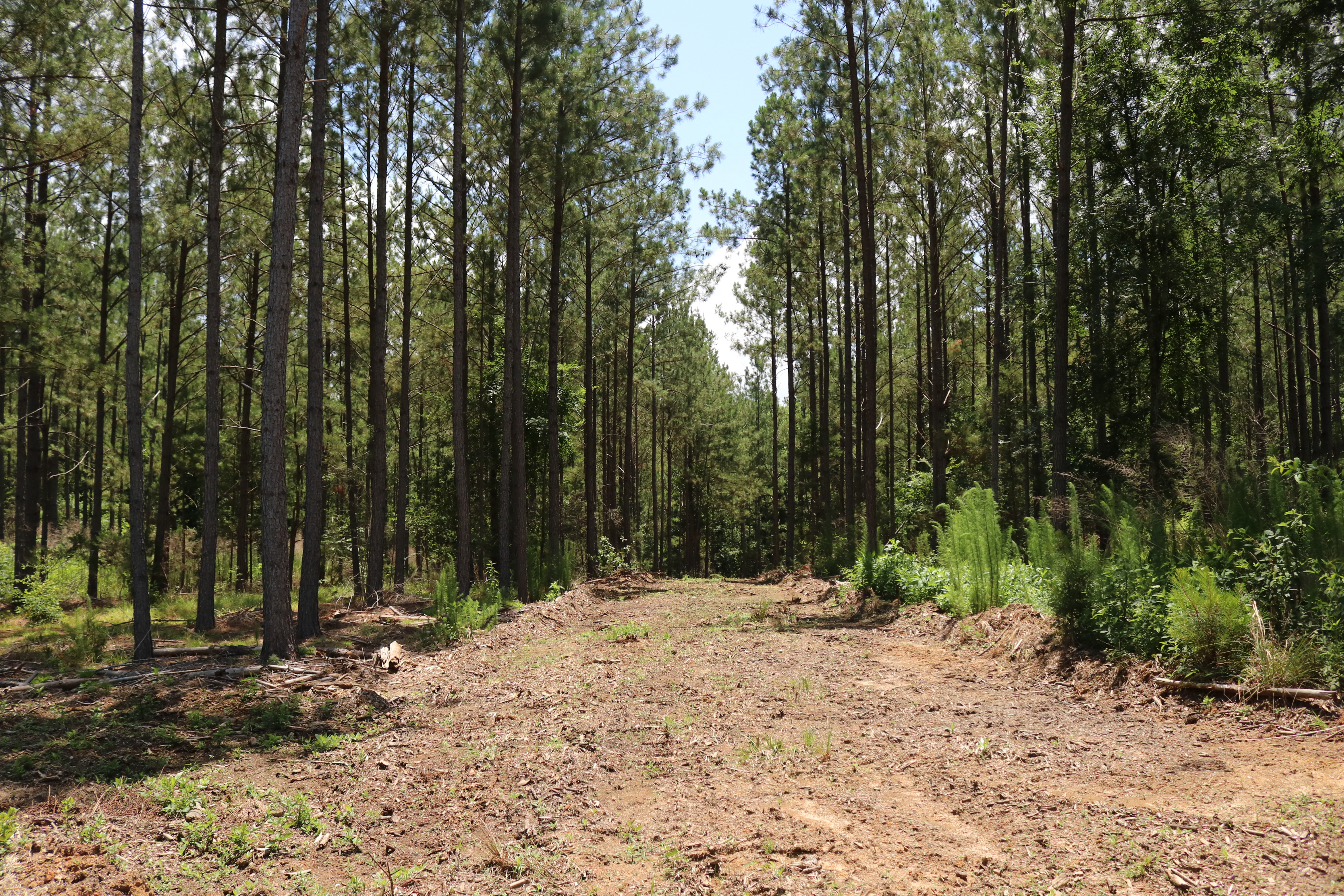 Saluda County South Carolina Land for Sale