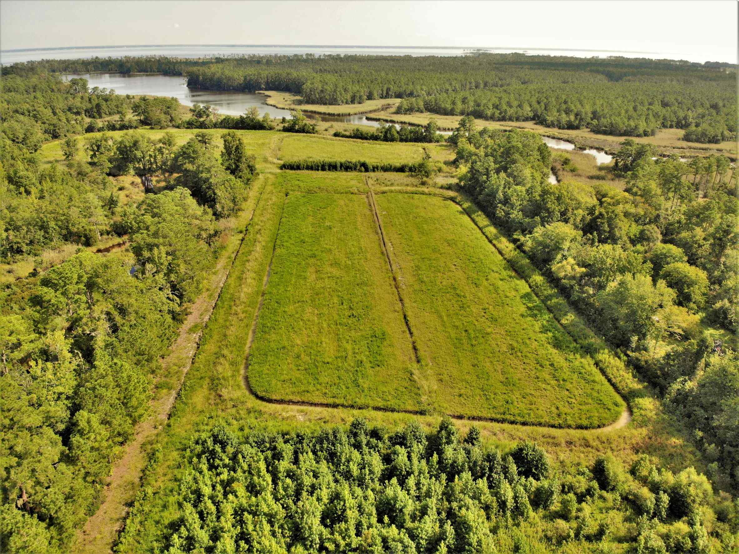 Advance Land and Timber Land for sale property_imgs/9~112.jpg