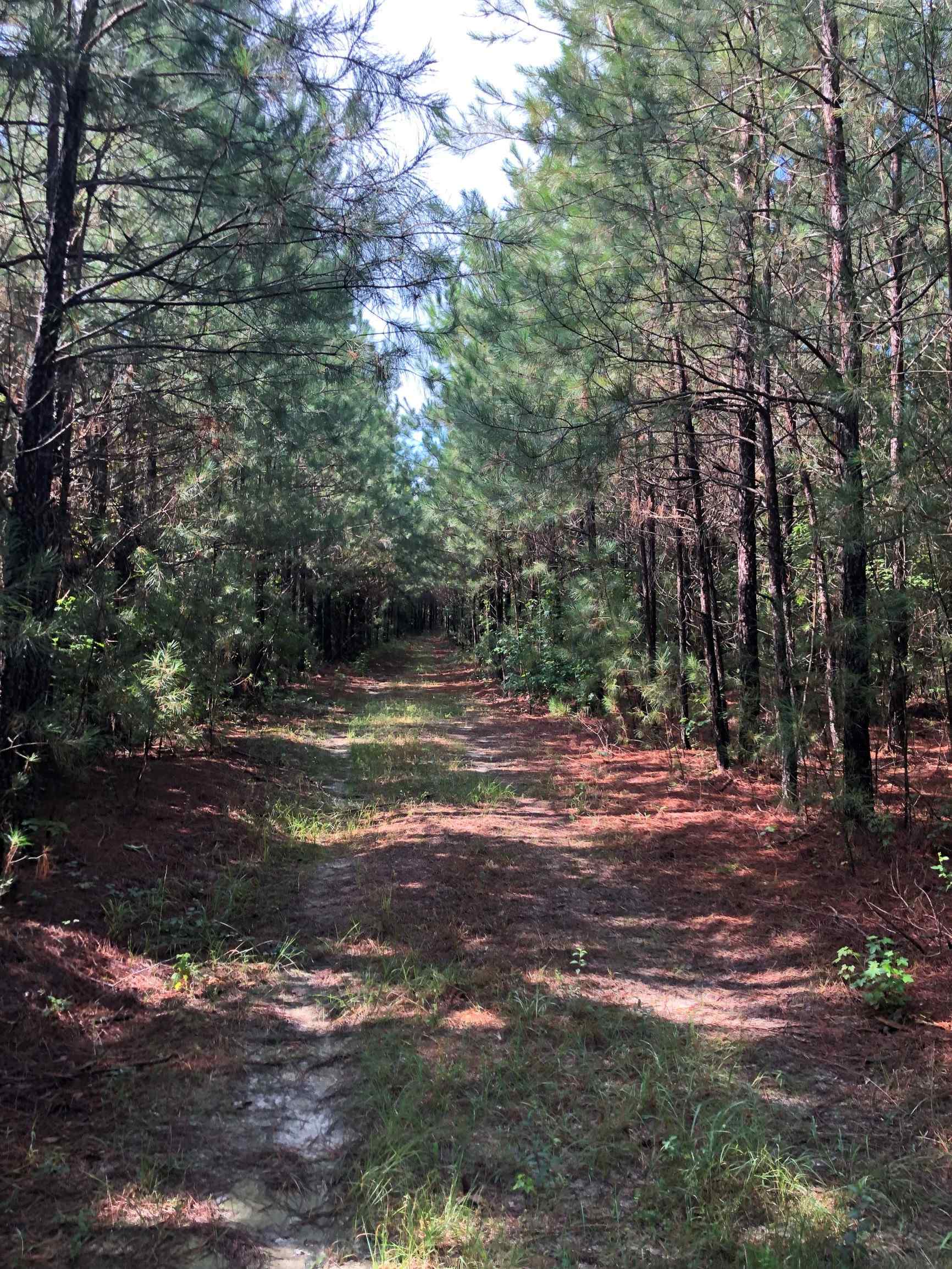 Land for sale in Sussex County, VA