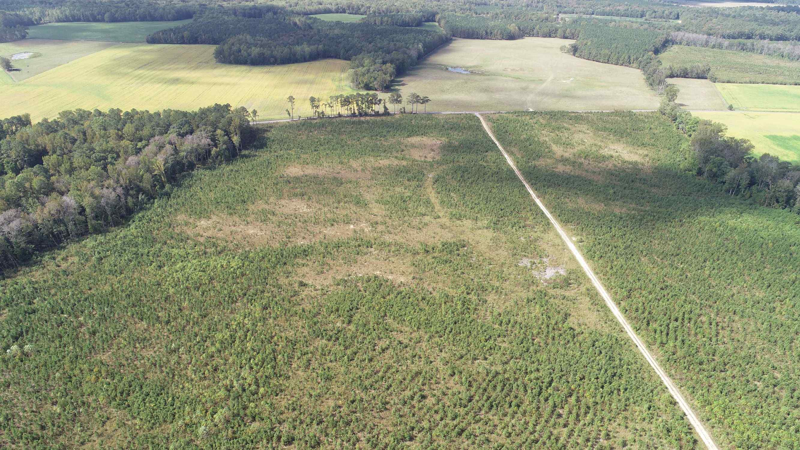 Advance Land and Timber Land for sale property_imgs/9~30.jpg