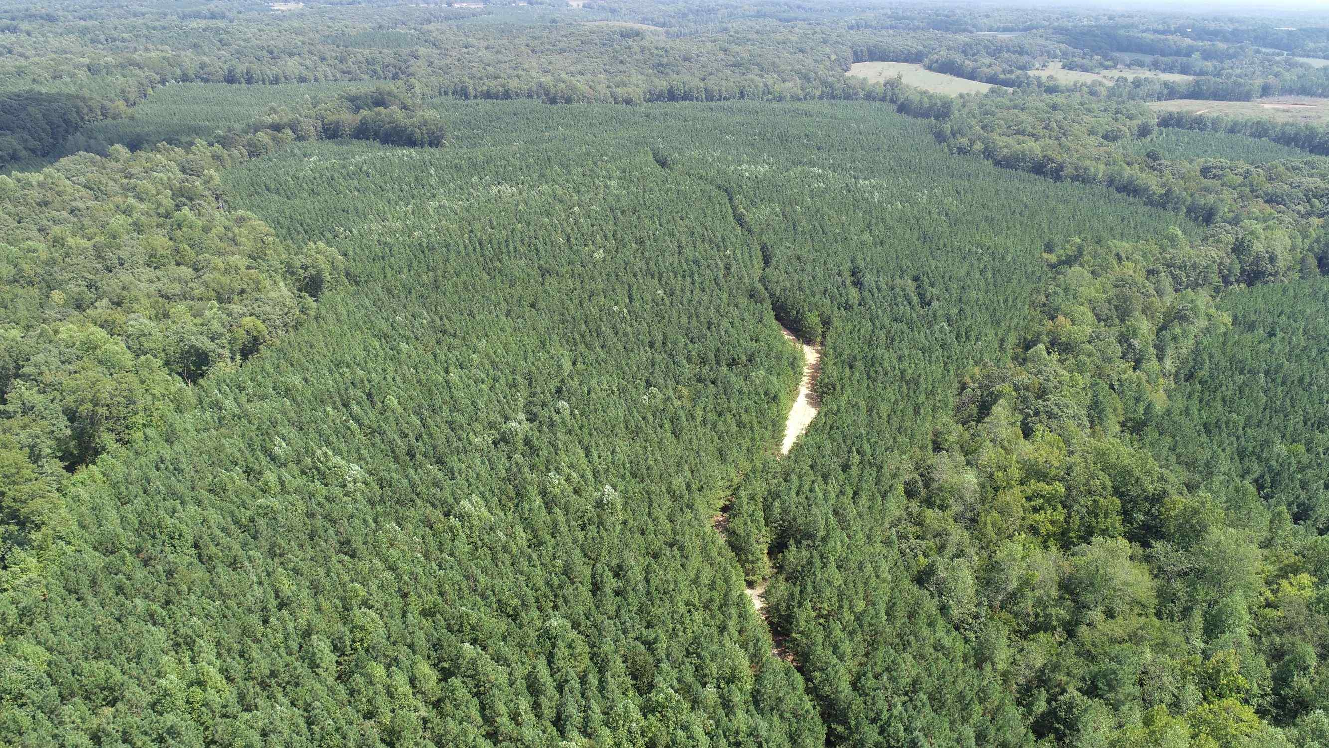 Advance Land and Timber Land for sale property_imgs/9~36.jpg