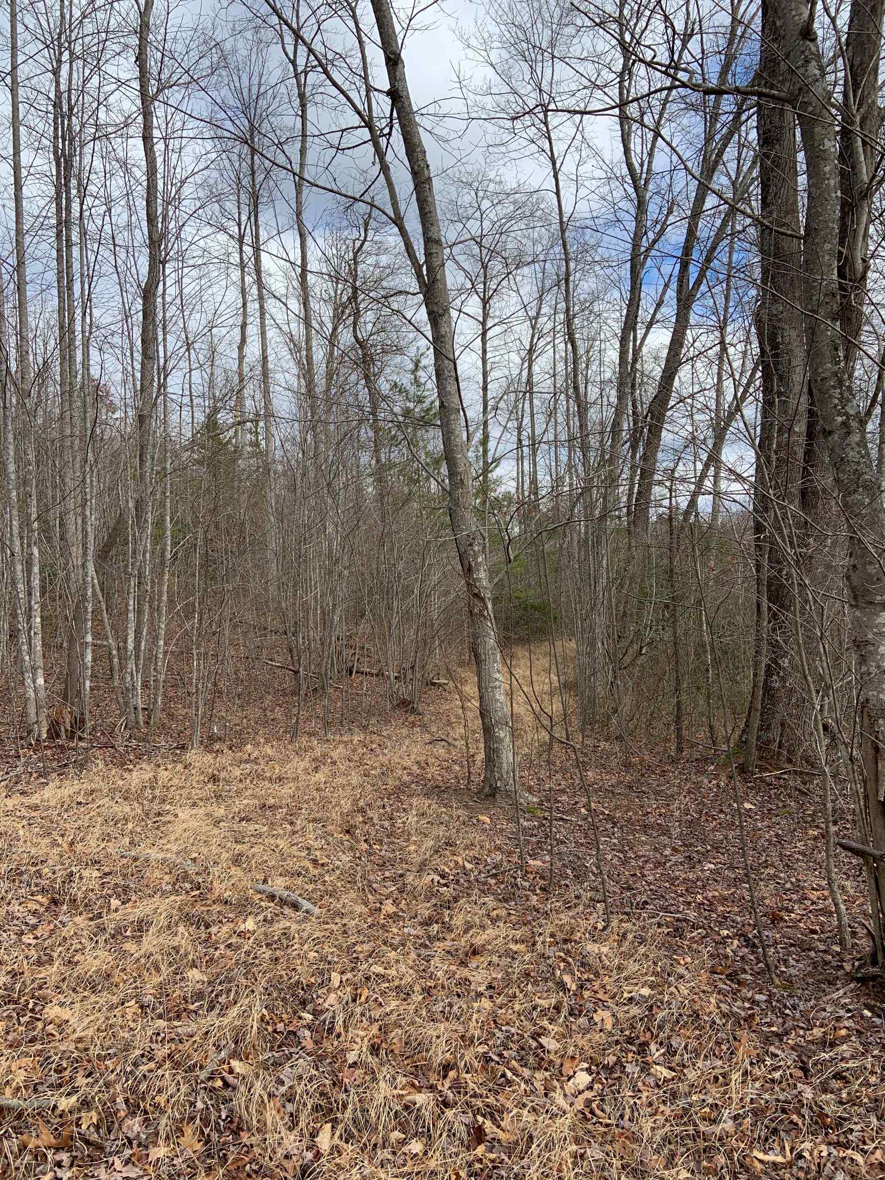 Advance Land and Timber Land for sale property_imgs/9~45.jpg