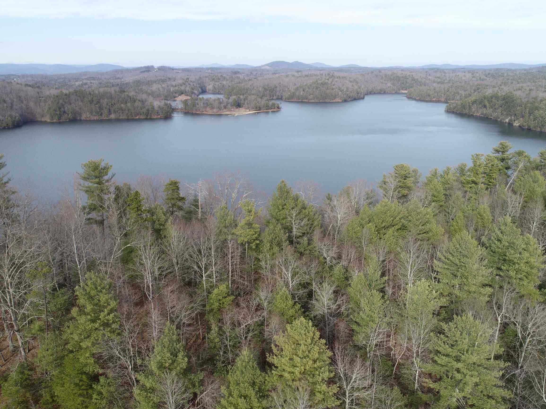 Advance Land and Timber Land for sale property_imgs/9~47.jpg