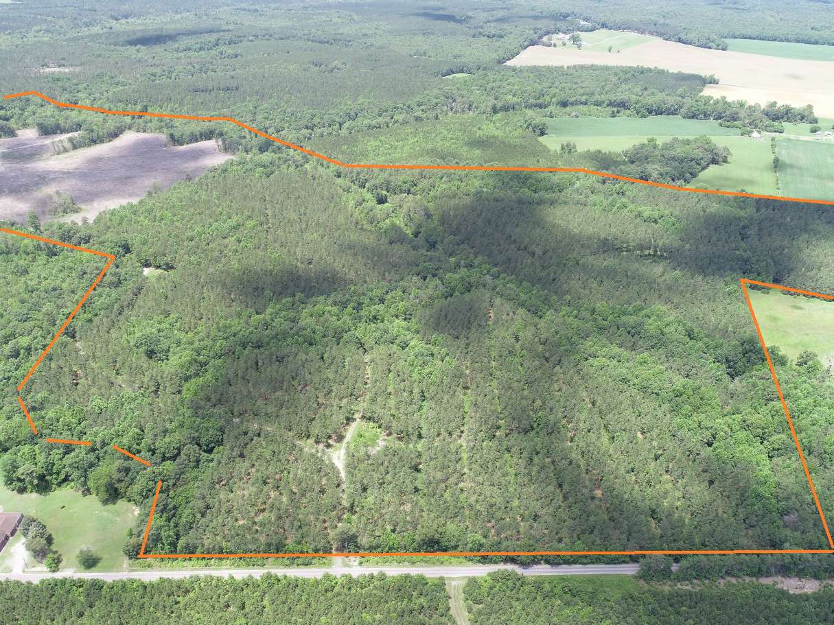 Advance Land and Timber Land for sale property_imgs/9~58.jpg