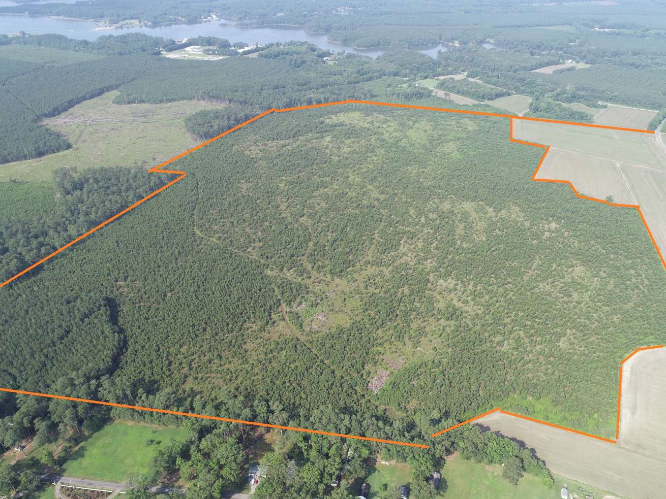 Advance Land and Timber Land for sale property_imgs/9~68.jpg
