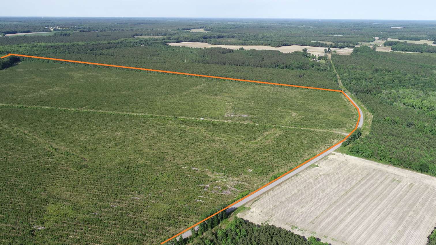 Advance Land and Timber Land for sale property_imgs/9~71.jpg