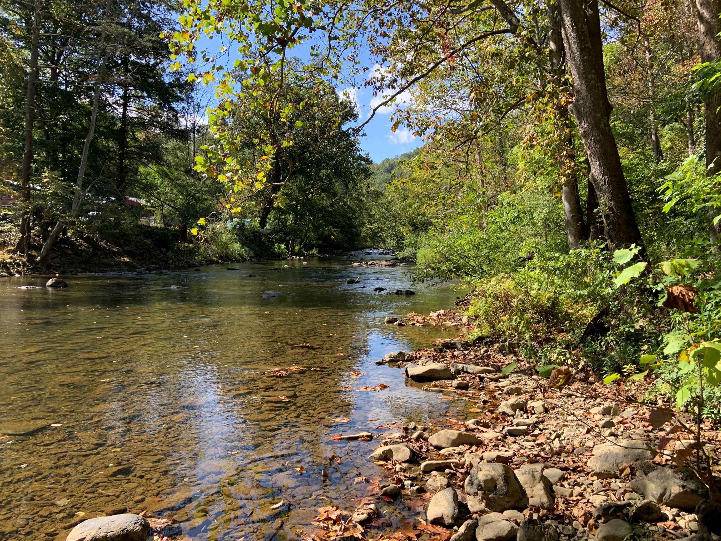 Advance Land and Timber Land for sale property_imgs/9~77.jpg