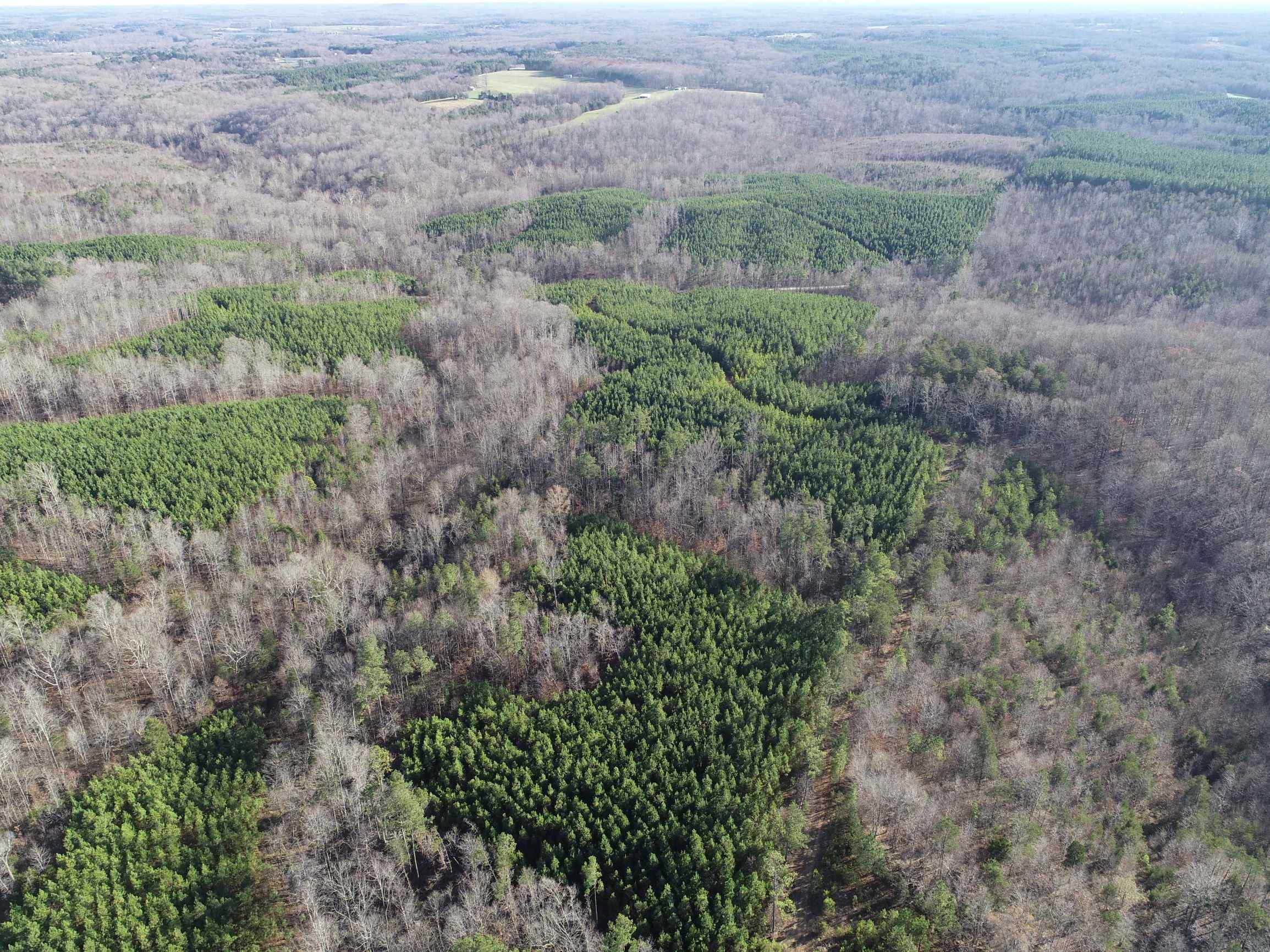 Advance Land and Timber Land for sale property_imgs/9~79.jpg