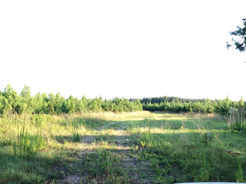 Horry County South Carolina Land for Sale