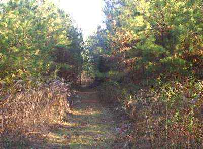 Talladega County Alabama Land for Sale