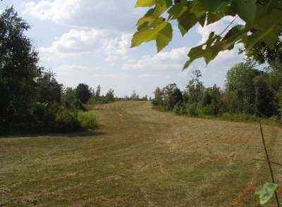 Advance Land and Timber Land for sale property_imgs/a154_2.jpg