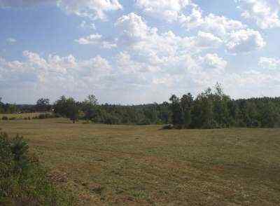 Advance Land and Timber Land for sale property_imgs/a154_4.jpg