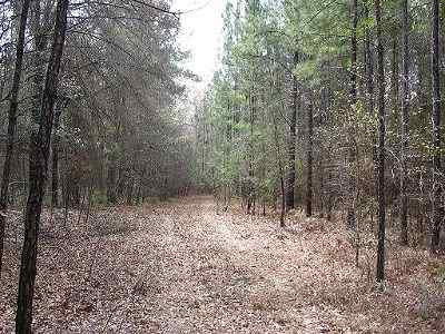 Advance Land and Timber Land for sale property_imgs/a188_4.jpg