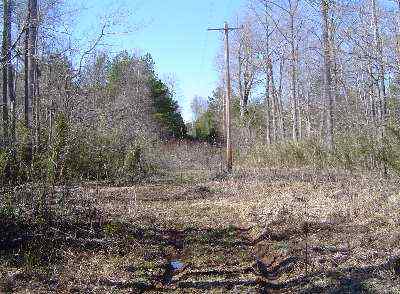 Advance Land and Timber Land for sale property_imgs/a18a_3.jpg