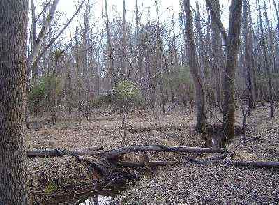 Advance Land and Timber Land for sale property_imgs/a18a_4.jpg