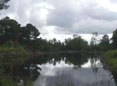 Dillon County South Carolina Land for Sale