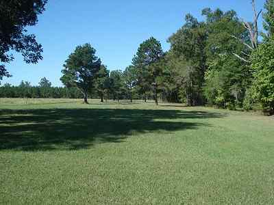 Marion County South Carolina Land for Sale