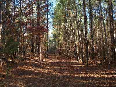 Union County South Carolina Land for Sale