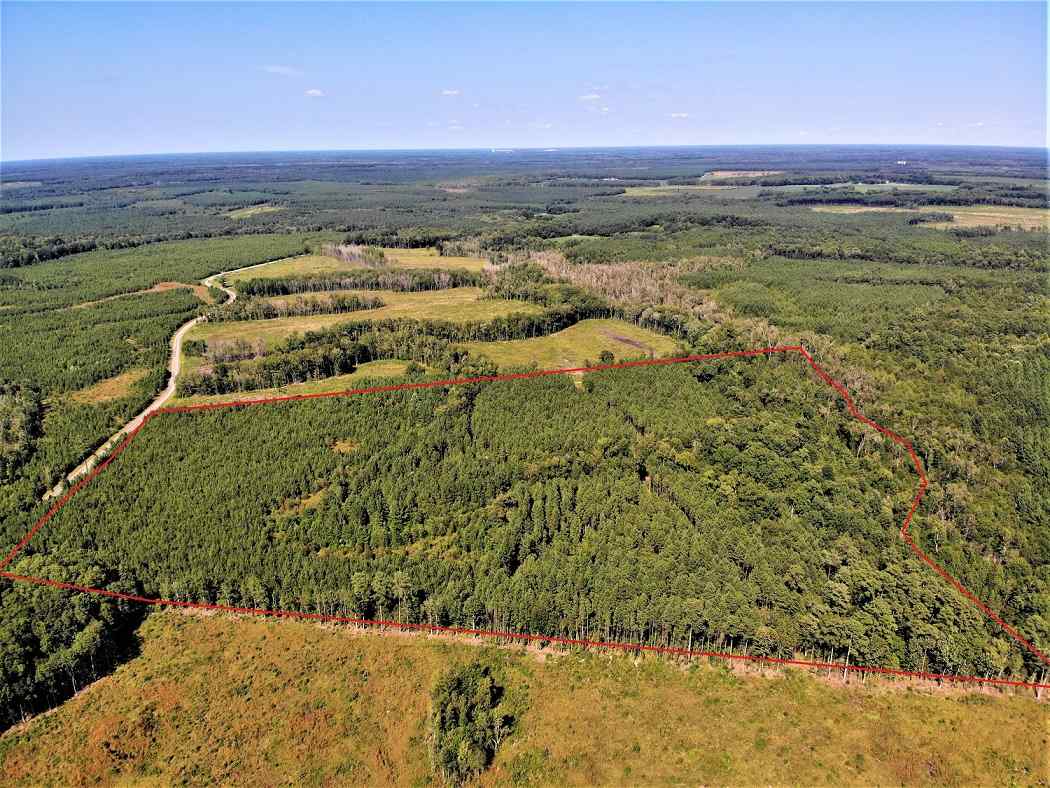 Advance Land and Timber Land for sale property_imgs/a330f9fecc388ce67f87b09855480ca3_1853.jpg