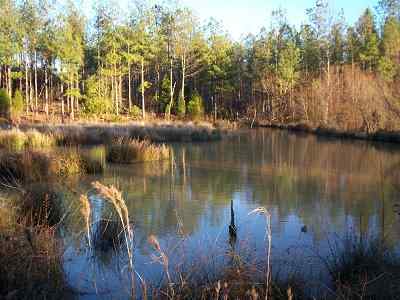 Newberry County South Carolina Land for Sale