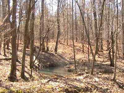 Greenwood County South Carolina Land for Sale