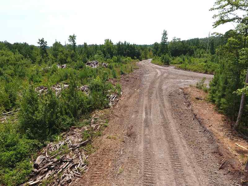 Advance Land and Timber Land for sale property_imgs/a44ba9086b2b83ccf2baf7c678723449_1891.jpg