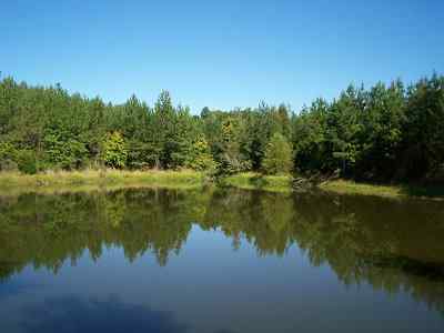 Newberry County South Carolina Land for Sale