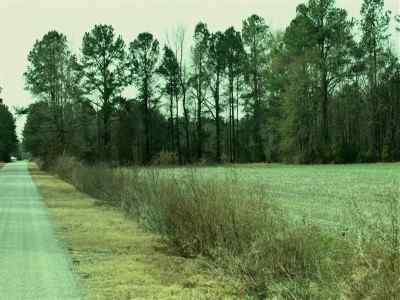 Sumter County South Carolina Land for Sale