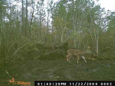 Newberry County South Carolina Land for Sale