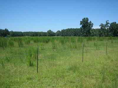 Hampton County South Carolina Land for Sale