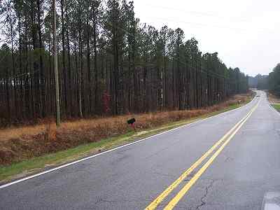 Advance Land and Timber Land for sale property_imgs/a54_13.jpg