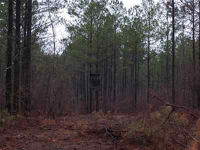 Advance Land and Timber Land for sale property_imgs/a54_1~0.jpg