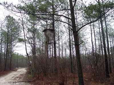 Advance Land and Timber Land for sale property_imgs/a54_7.jpg