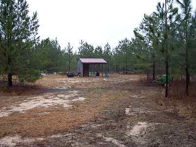 Advance Land and Timber Land for sale property_imgs/a54_9.jpg