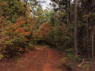 Greenwood County South Carolina Land for Sale