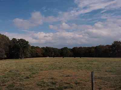 Advance Land and Timber Land for sale property_imgs/a579_8.jpg